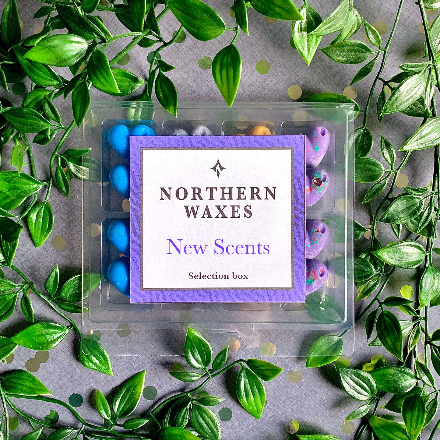 New Scents Wax Melt Selection Box